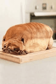 Loafdog